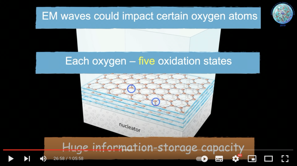 Information storage capacity