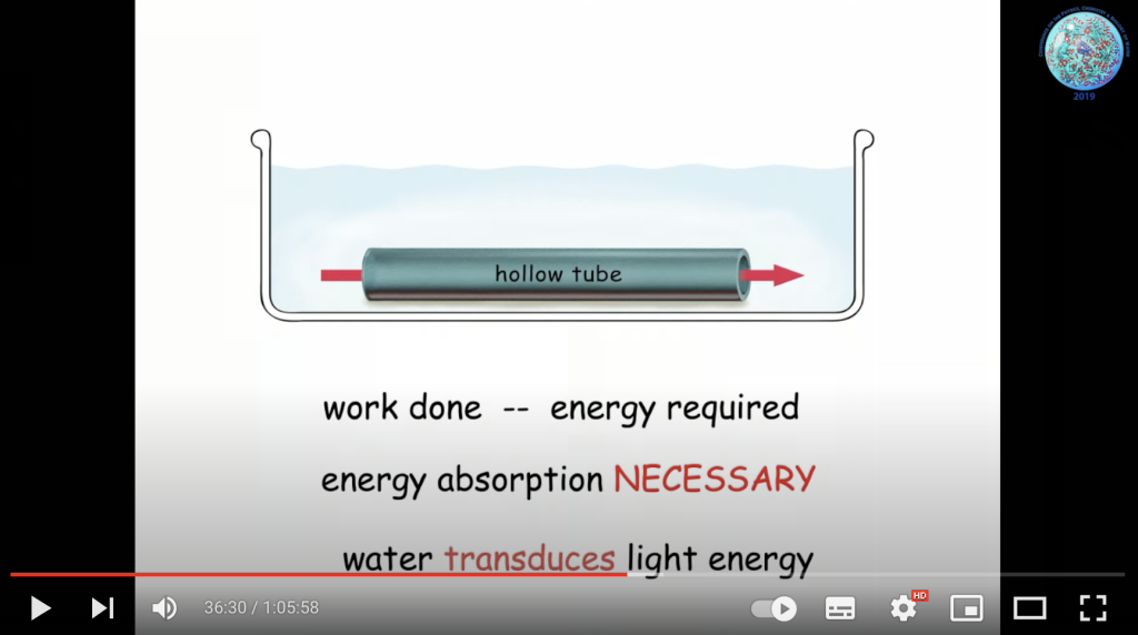 Water transduces light energy